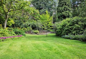 Optimiser l'expérience du jardin à Saint-Omer